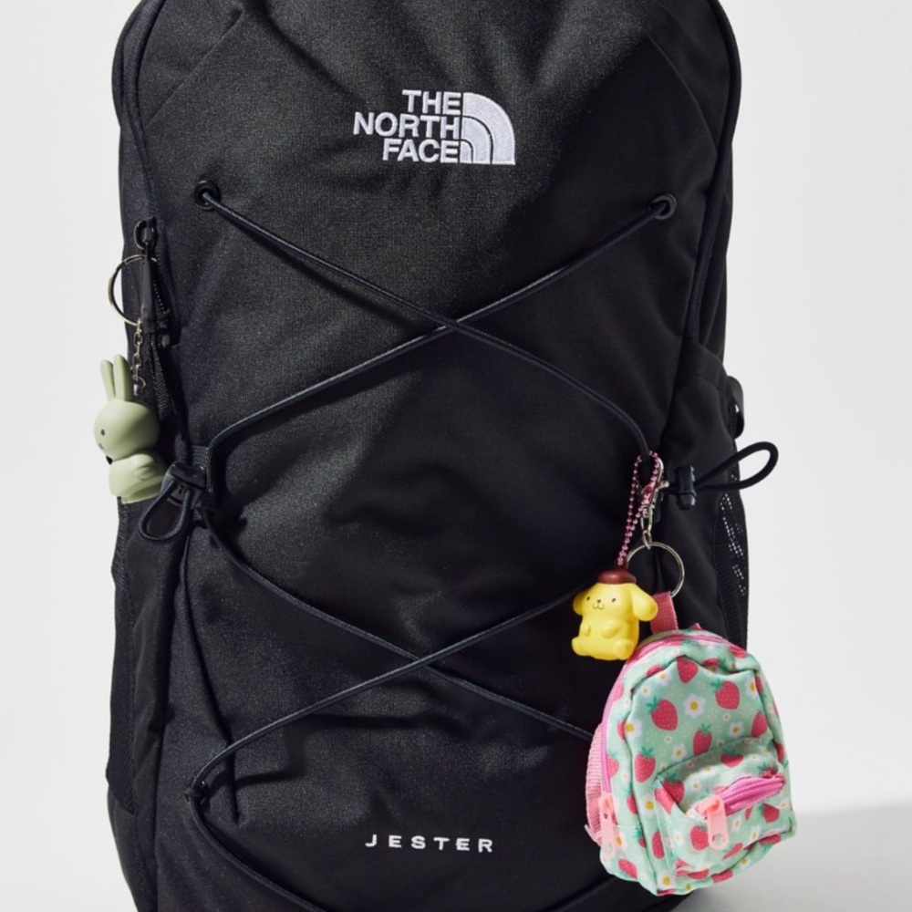 The North Face Jester Backpack